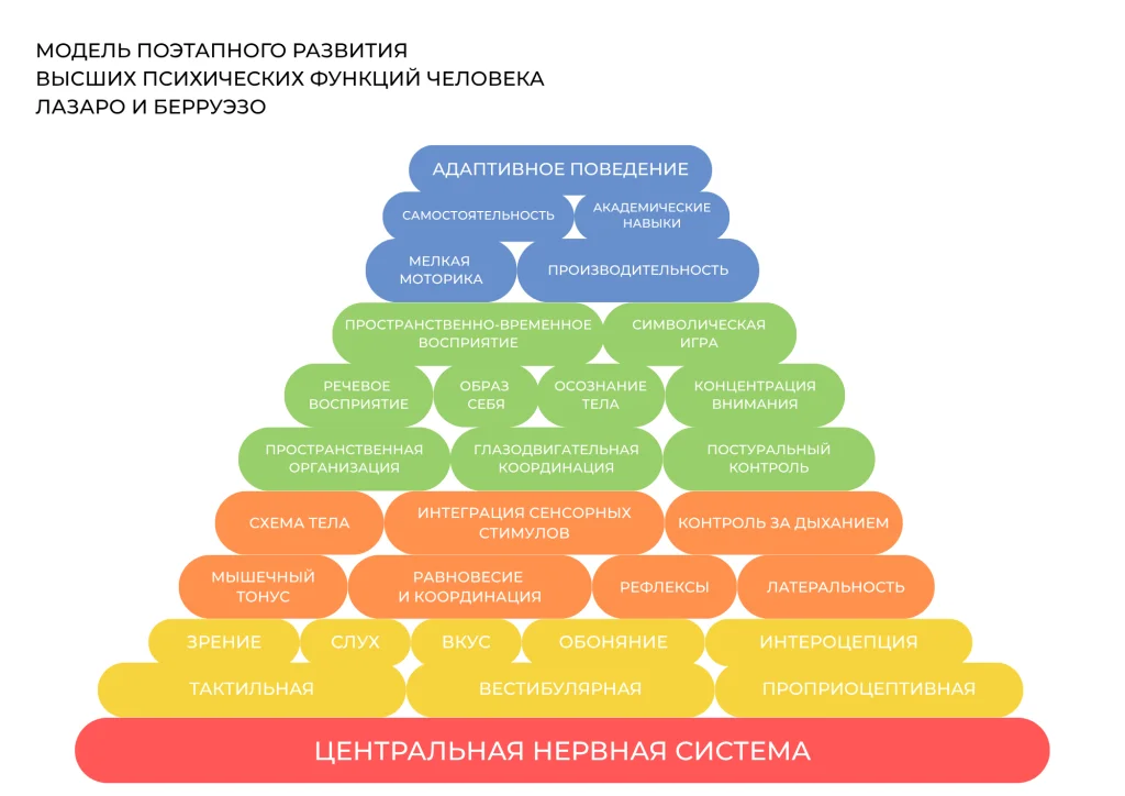 🔼 Пирамида обучения: почему фундамент важнее результата